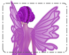 (OM)Wings Lilac