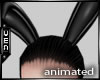 [Czz] PVC Bunny Ears