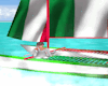 Italy's Catamaran