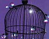 S†N Light Cage 1