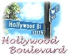 HollyWood Boulevard