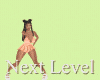 MA Next Level