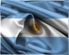ARGENTINA T-SHIRTS