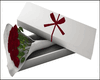 Red Roses In A Box