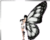 ~butterfly~ blk+white