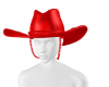 rhomic ~ her cowgal hat