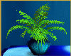 PLANT IN VASE