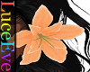 V3 Marguerite Flower