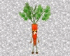 [Y] Carrot Avatar