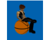 Basketball Seat