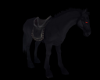 Black Demon Horse