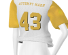 Attempt Made Jersey