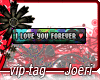 j| I Love You Forever-