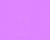 MY Lilac Pastel PhotoRoo