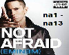 Not Afraid  -  Eminem