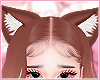 Cat ears brownie