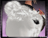 Fur White