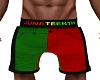 MEN JUNETEENTH SHORTS