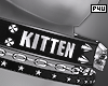 -P- Kitten Collar M