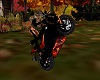 Fast Harley Rider