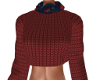 Karnie Winter Sweater-1