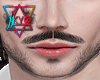 K| Enzo Beard MH