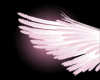 *K* Doll Angel Wings