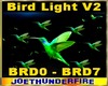 Birds flight Light