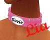 Gavie's collar