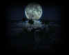 Moon  seychelles