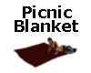 Picnic Blanket W/ Poses