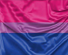 Animated Bisexual Flag