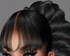 Arve Black/Bangs Req