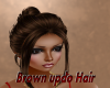 Brown updo Hair