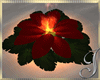 Romantic ~ Fire Lily