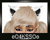 4K .:Cat Ears:.