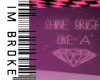 Shine Brite Add On