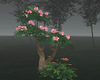 Tropical Flowering Tree