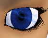StormBlue Eyes