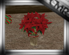 CMR Christmas Poinsettia