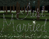 CD Just Married Sign 4