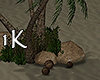 !1K Island Palm Trees