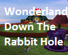 Wonderland Rabbit Hole