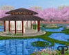 🤍P Sakura Lake