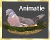 Animated dove