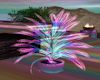 Neon Rainbow Plant