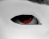 EYES VZ133DD