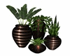 Plant Grouping