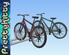 ^..^ Dutch bicycle rack