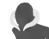 Albed Horn F/M